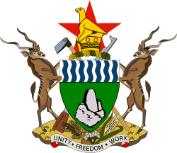 Zimbabve milliyetçisi de&nbsp;olabilirdim